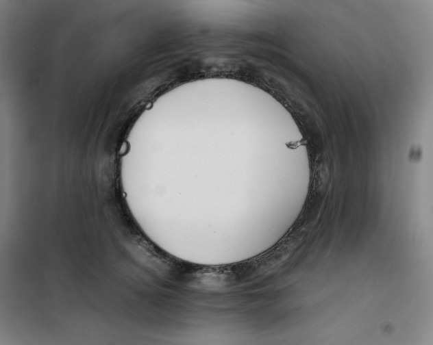 X0000100380756200807031925