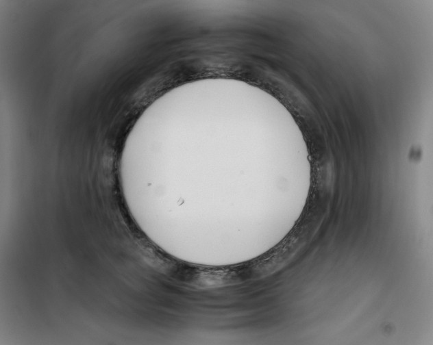 X0000100380757200807031925