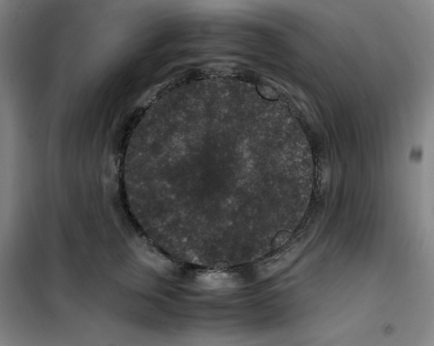 X0000100380759200807031925