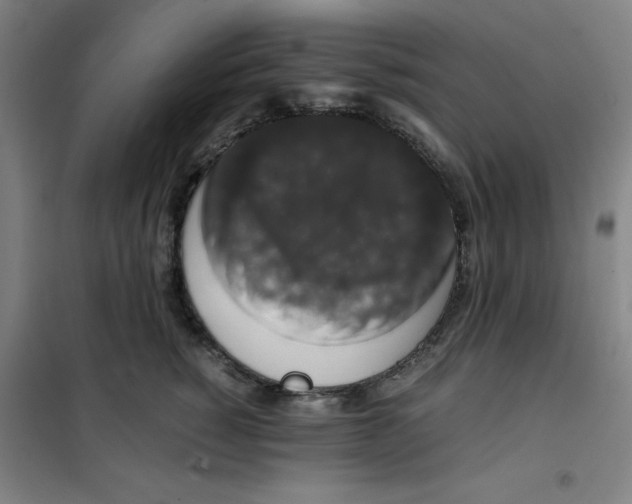 X0000100380760200807031925