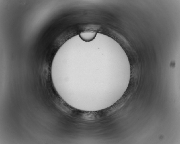 X0000100380761200807031925