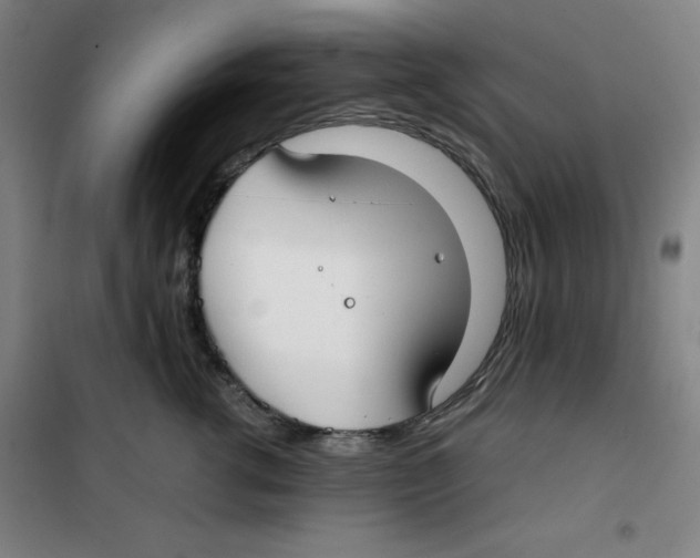 X0000100380762200807031925
