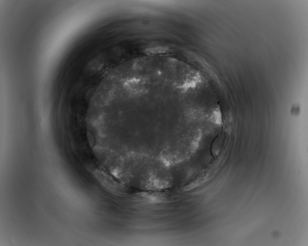 X0000100380763200807031925