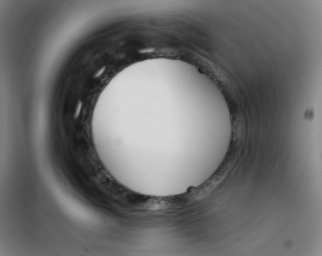 X0000100380764200807031925