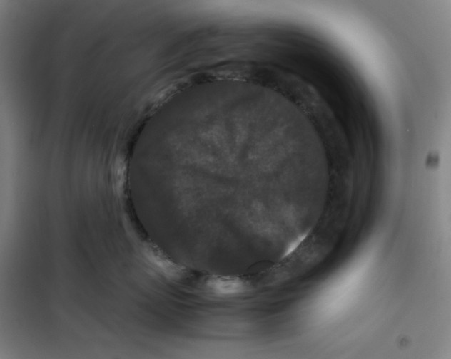X0000100380767200807031925