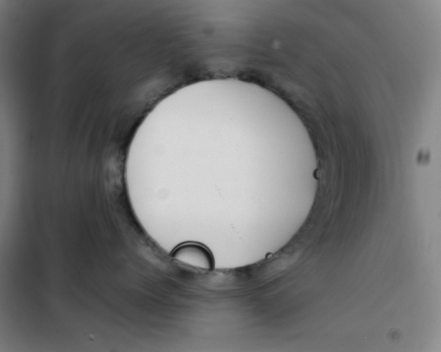 X0000100380768200807031925