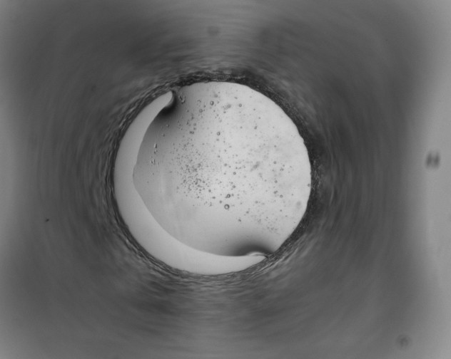 X0000100380769200807031924