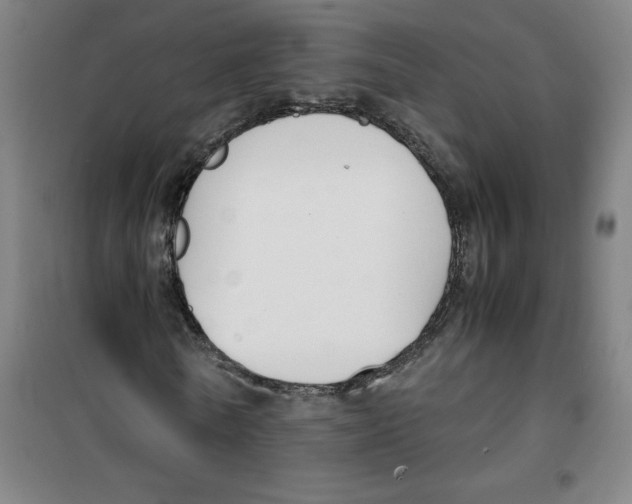 X0000100380770200807031924