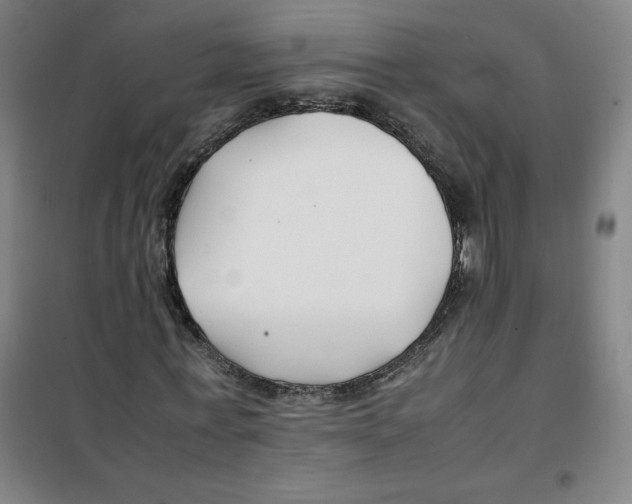 X0000100380771200807031924