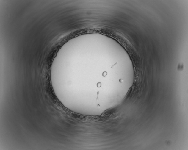 X0000100380773200807031924