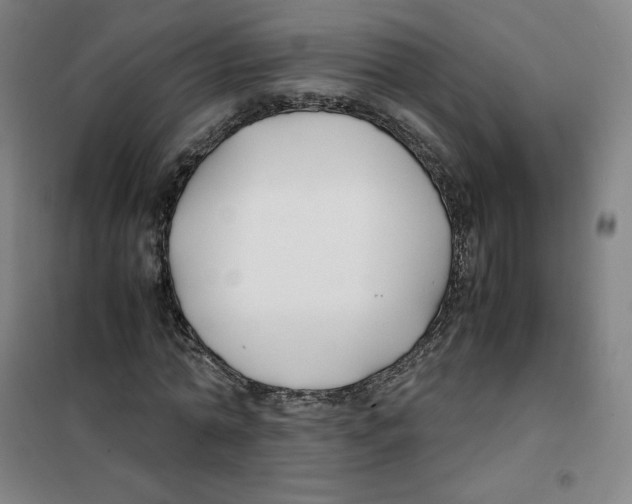 X0000100380774200807031924
