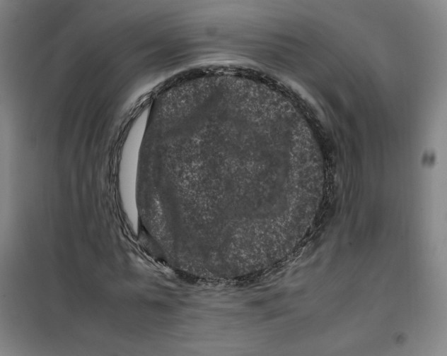 X0000100380775200807031924
