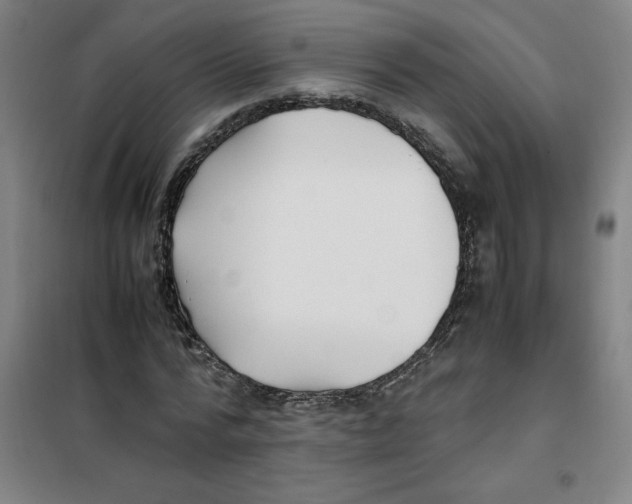 X0000100380776200807031924