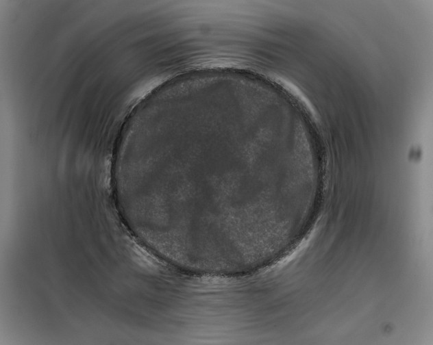 X0000100380777200807031924