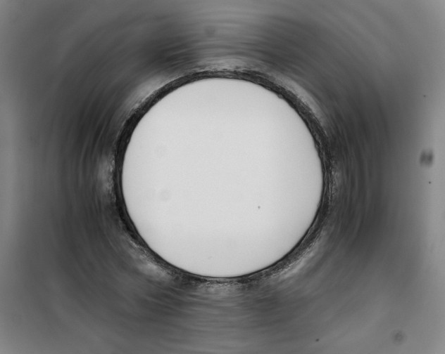 X0000100380778200807031924