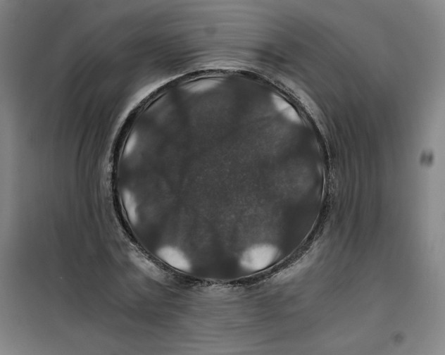 X0000100380779200807031924
