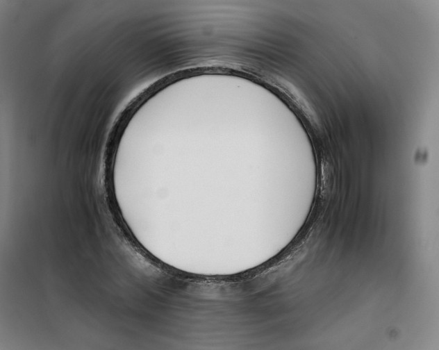 X0000100380780200807031924