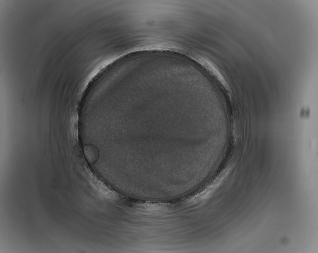 X0000100380781200807031924