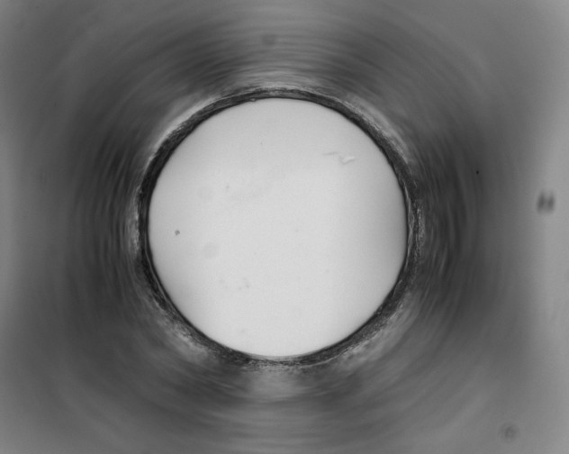 X0000100380782200807031924