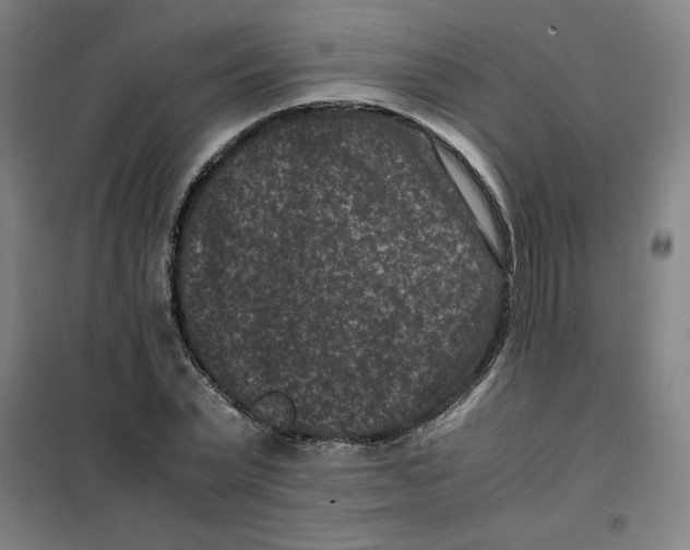 X0000100380783200807031924