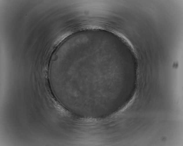 X0000100380785200807031924