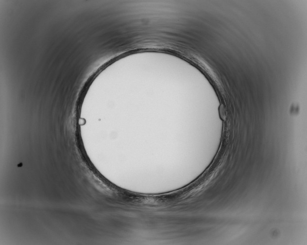 X0000100380787200807031924