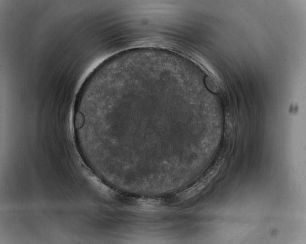 X0000100380788200807031924