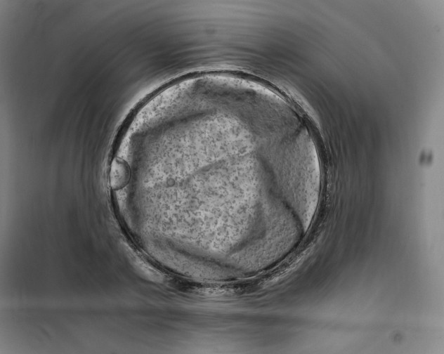 X0000100380789200807031924
