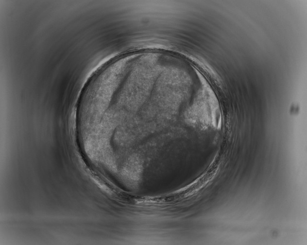 X0000100380790200807031924