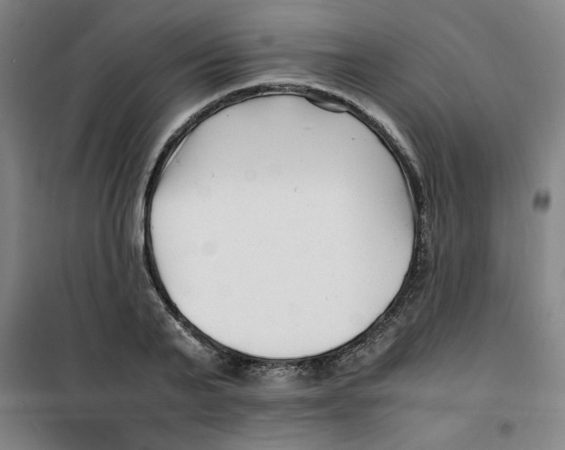 X0000100380791200807031924