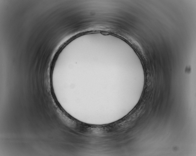 X0000100380792200807031924