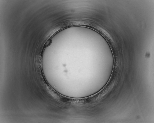 X0000100380793200807031924