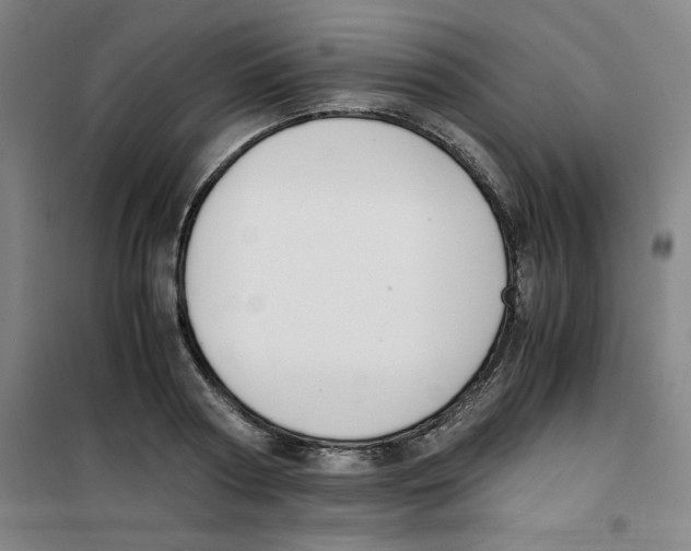 X0000100380794200807031924