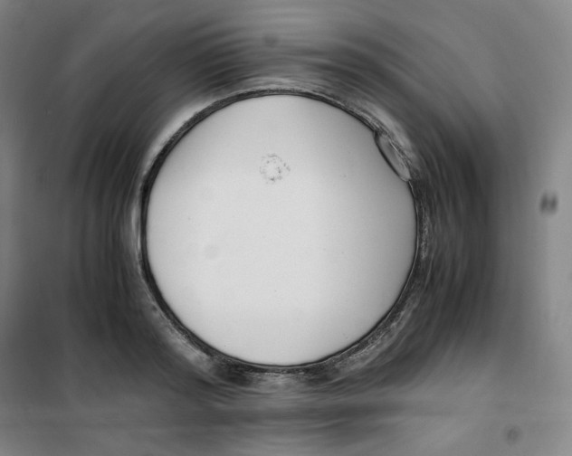 X0000100380796200807031924