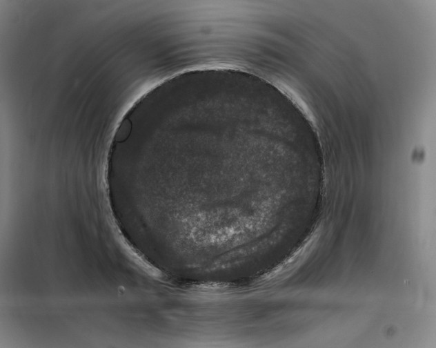 X0000100380797200807031924