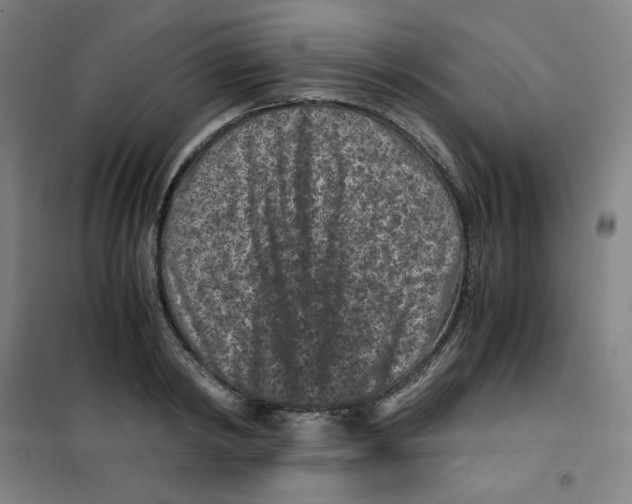 X0000100380798200807031924