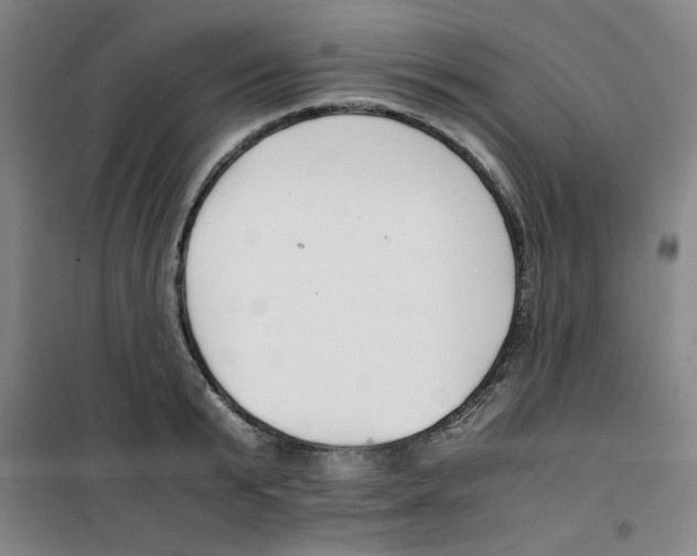 X0000100380799200807031924
