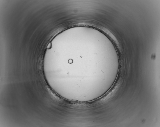 X0000100380801200807031924