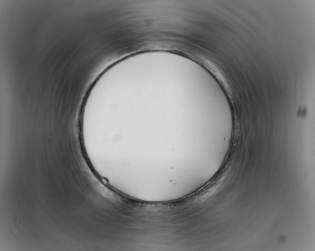 X0000100380803200807031924