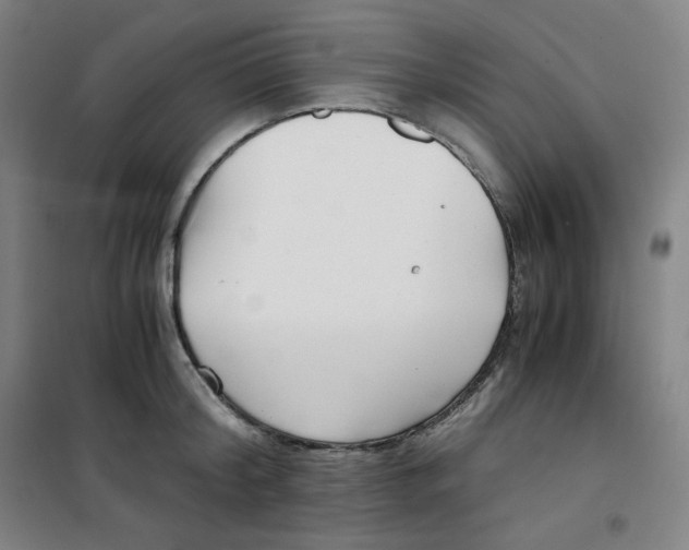 X0000100380804200807031924