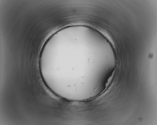 X0000100380805200807031924