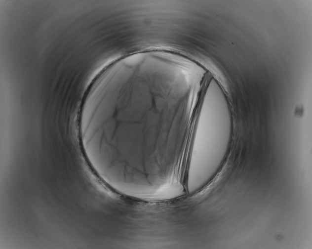 X0000100380806200807031924
