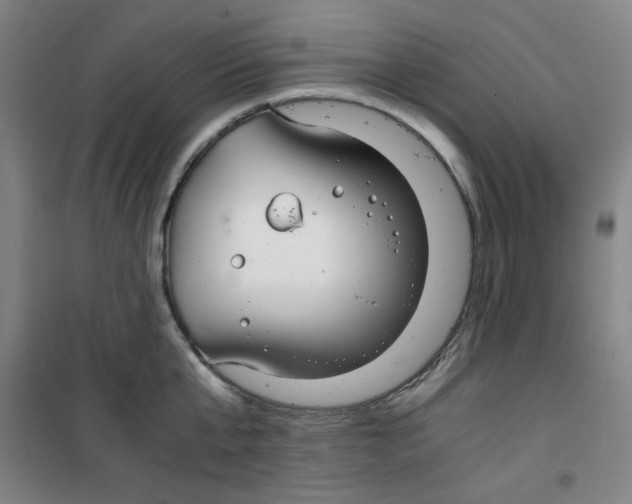X0000100380807200807031924