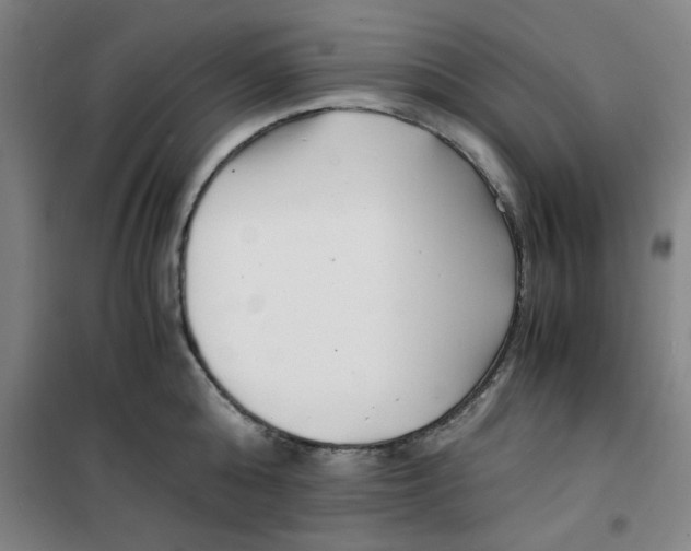 X0000100380808200807031924