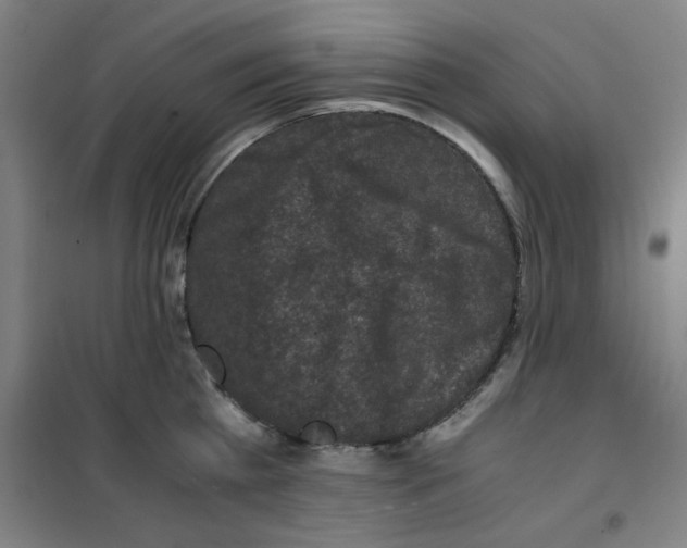 X0000100380809200807031924