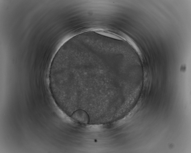 X0000100380810200807031924