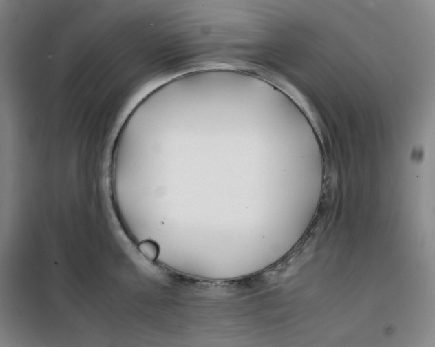X0000100380811200807031924