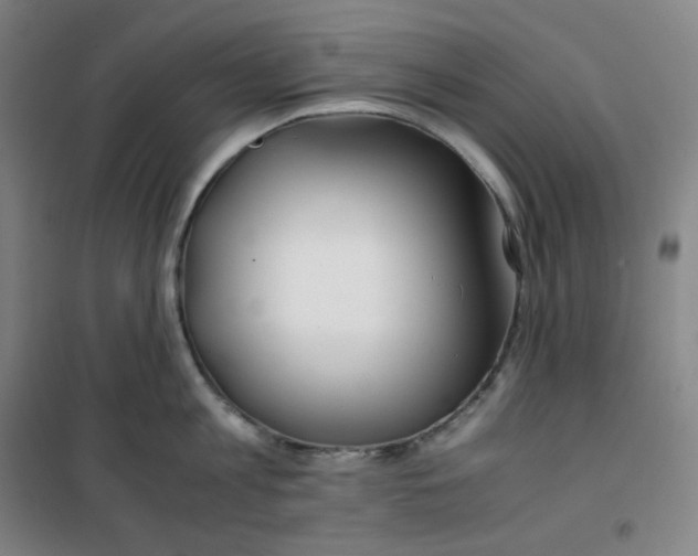 X0000100380813200807031924