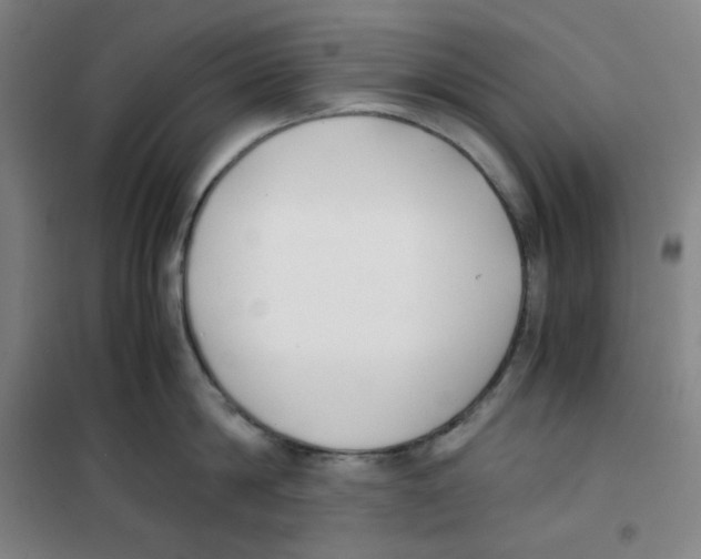 X0000100380814200807031924