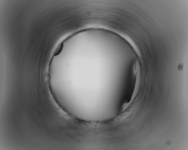 X0000100380815200807031924
